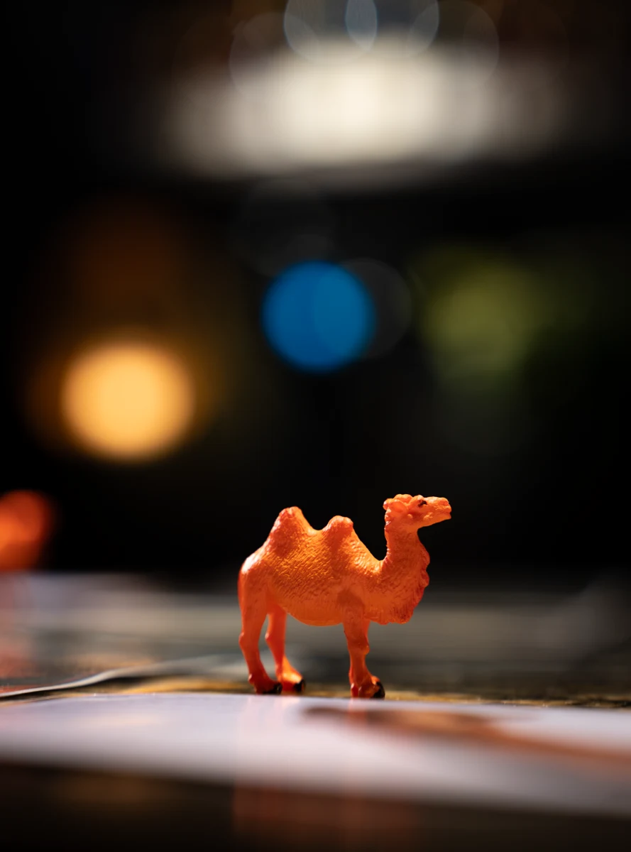 An orange camel figurine at a Digital Camel event